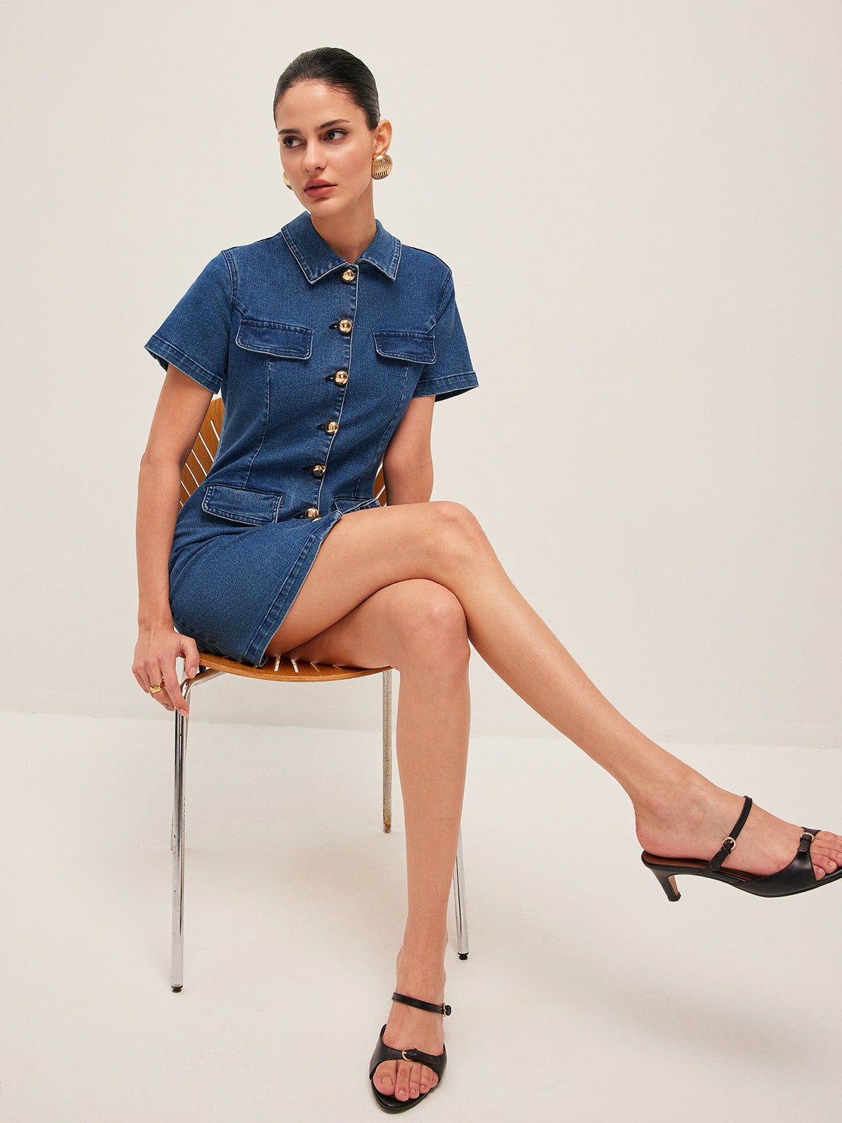 Delphia | Denim Dress Short Sleeves