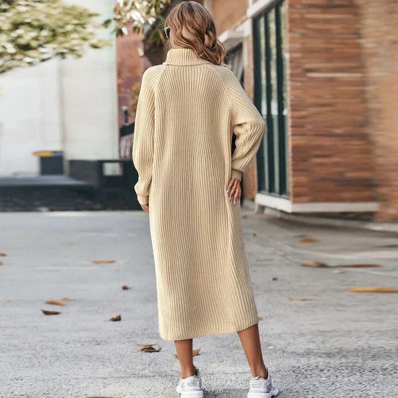 Reilly | Midi Dress with Turtleneck